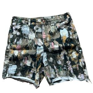 Pilcro and the Letterpress Multicolor Artistic Women's Shorts